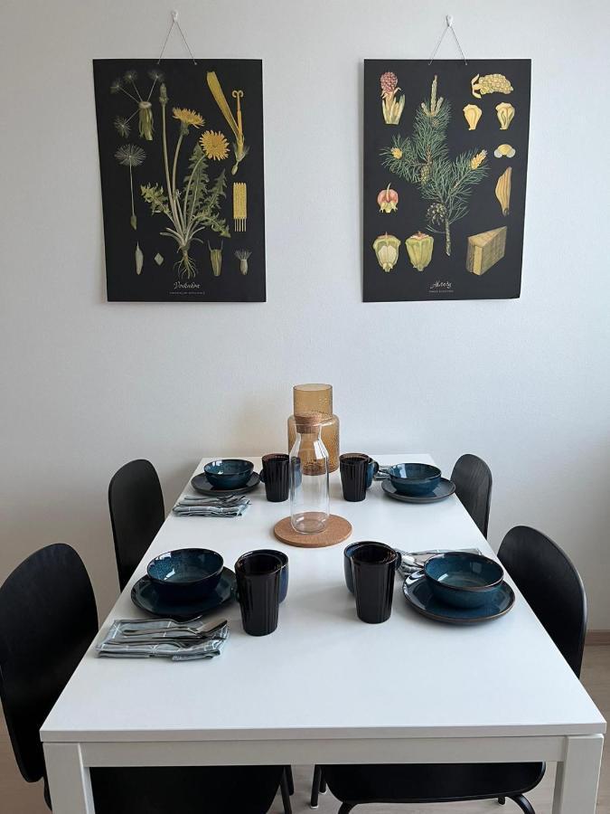 Apartament Ylimmaen Kerroksen Tilava Kolmio Jokinaekymaellae Rovaniemi Zewnętrze zdjęcie